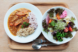 サラダとカレーのハーフ＆ハーフ